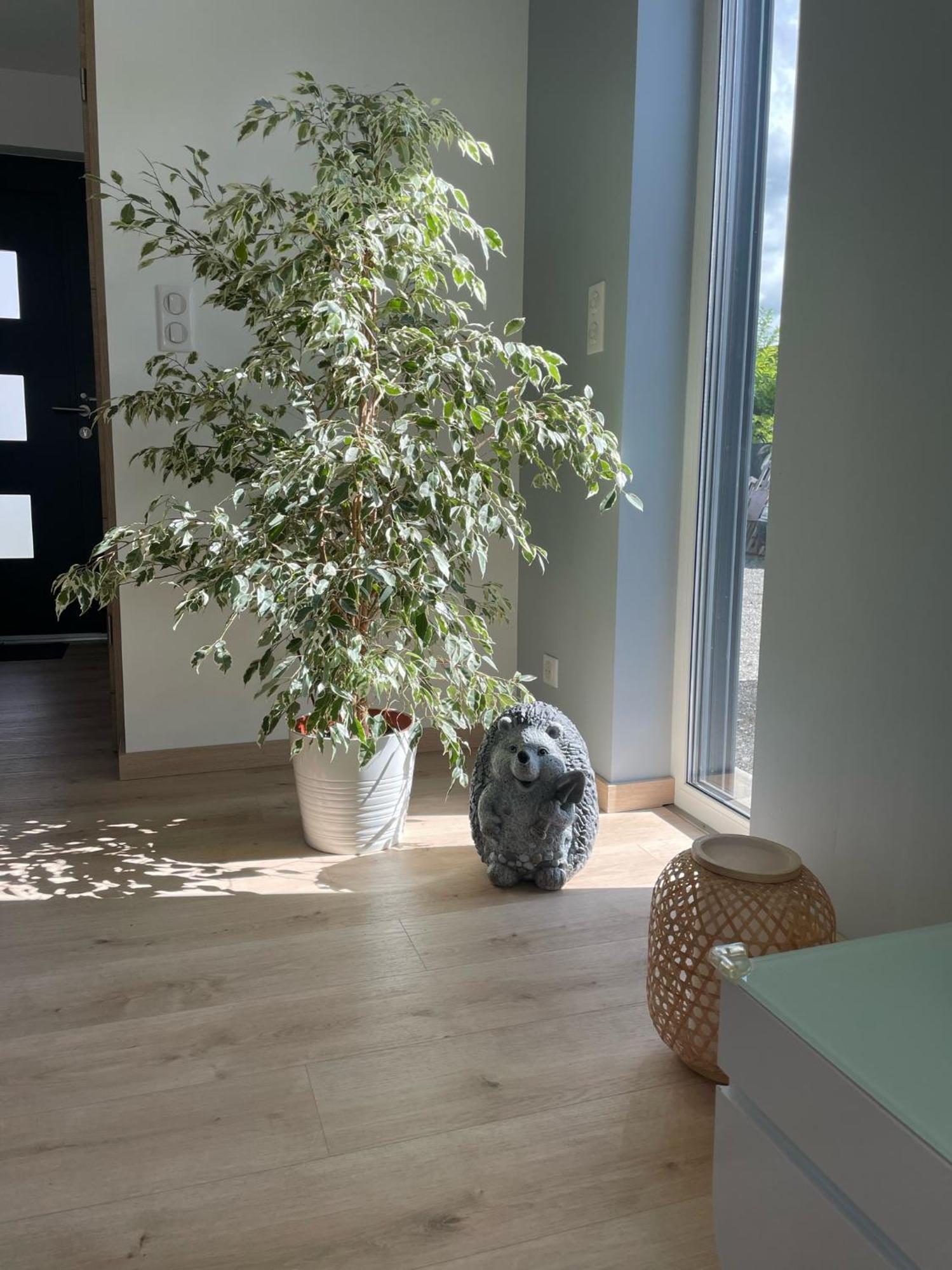 Maison Spacieuse Proche Strasbourg Ostwald Dış mekan fotoğraf